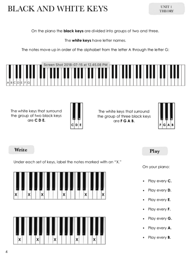 Piano Safari Older Student Sight Reading & Theory 1 - Fisher Katherine; Hague Julie Knerr Piano Safari PNSF1057