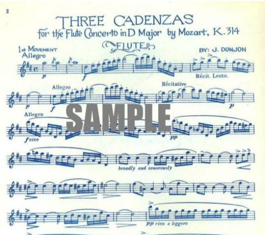 Donjon - Cadenzas to Mozart Concerto Dmaj K314 - Flute Little Piper FC-D1