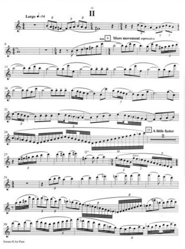 Holocombe - Sonata #2 - Flute/Piano Accompaniment Musicians FB105