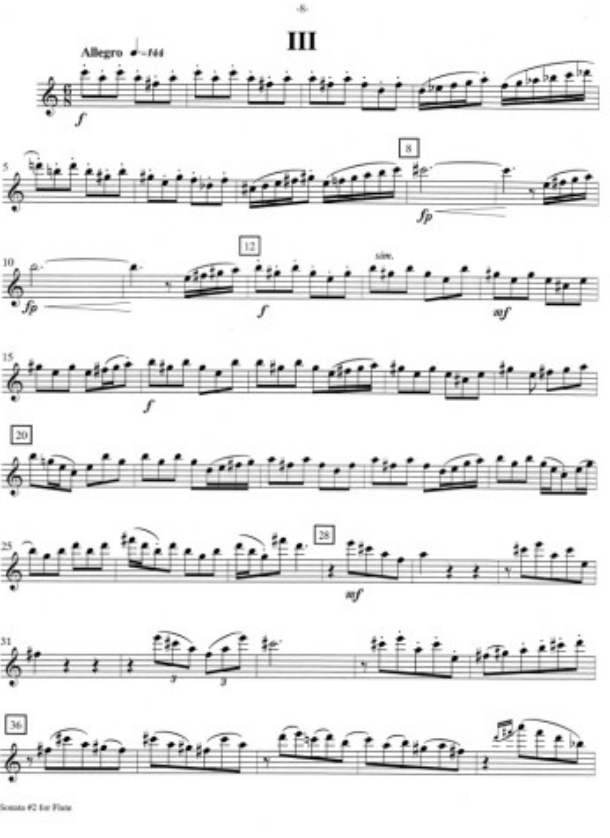 Holocombe - Sonata #2 - Flute/Piano Accompaniment Musicians FB105